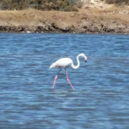 Cabanas Garden * Ταβίρα